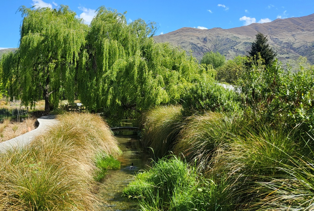 Family fun event showcases Wānaka urban wetland
