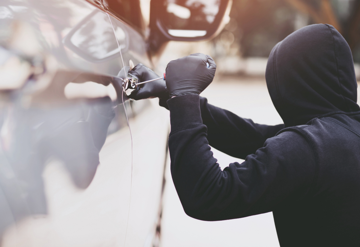 Hogan says youth crime is out of control