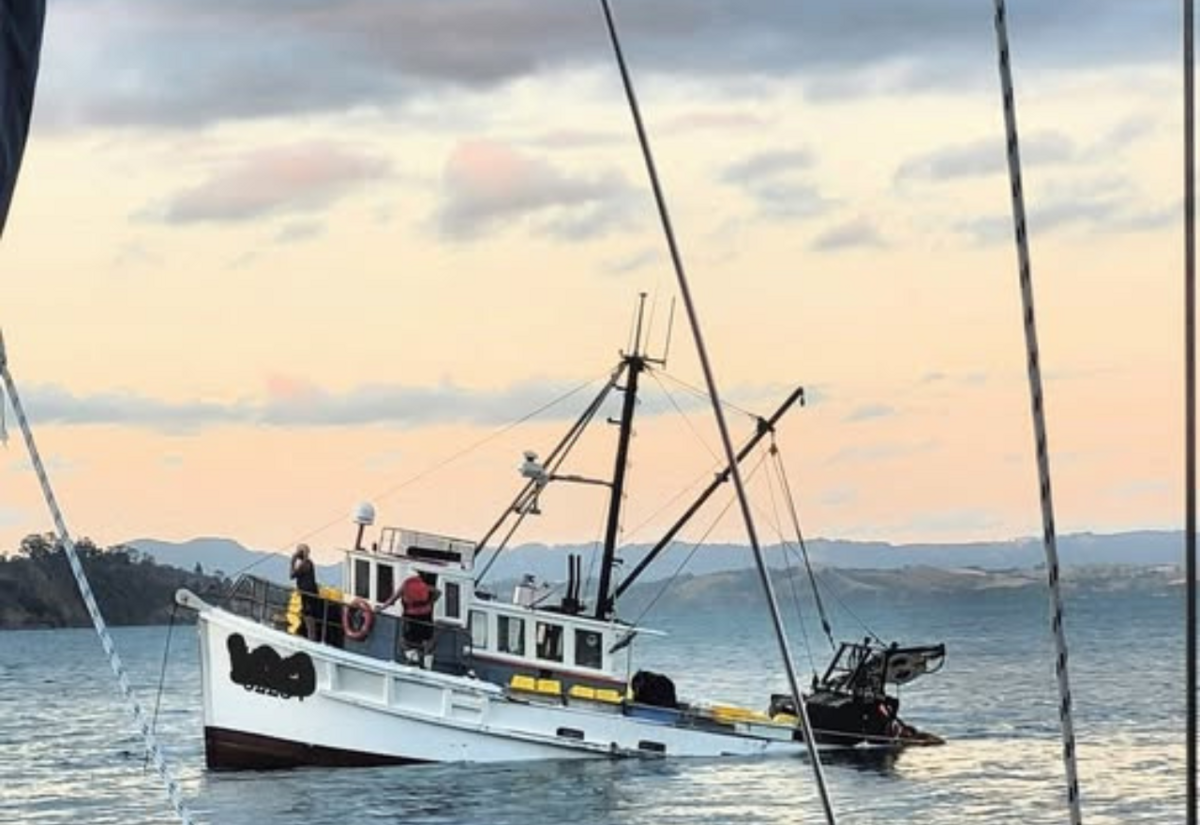 Near Disaster Averted Near Kawau Bay