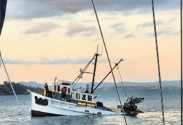 Near Disaster Averted Near Kawau Bay