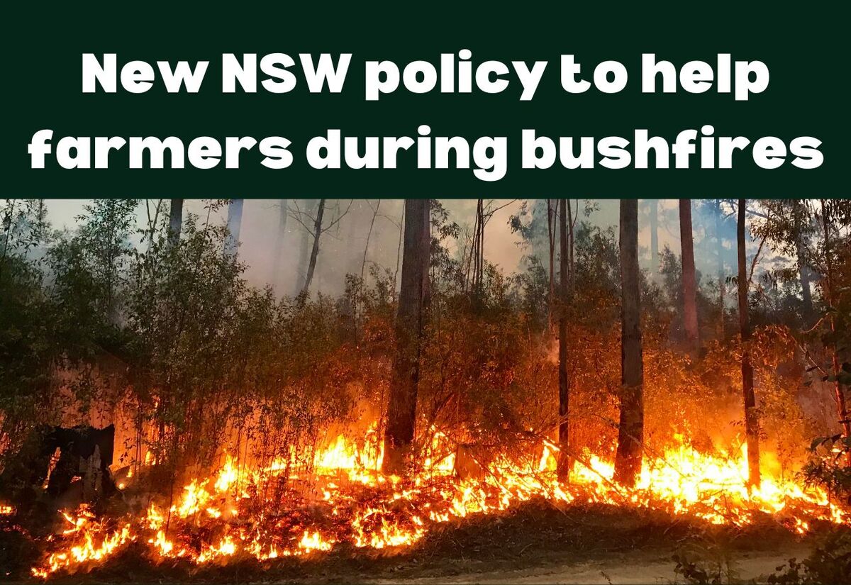 Common sense allows farmers to use ground water during bushfires