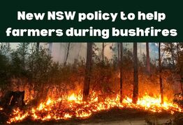 Common sense allows farmers to use ground water during bushfires