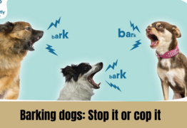 Barking dogs: stop it or cop it