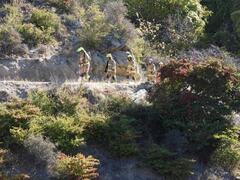 ORC urges caution after vegetation fires 