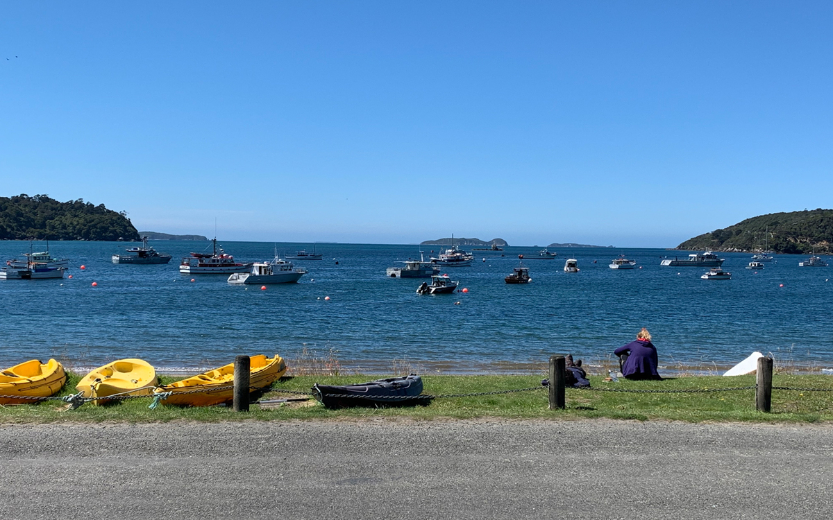 SDC pitches solar farm to Rakiura/Stewart Islanders