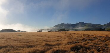 Kaipara on cusp of meteorological drought