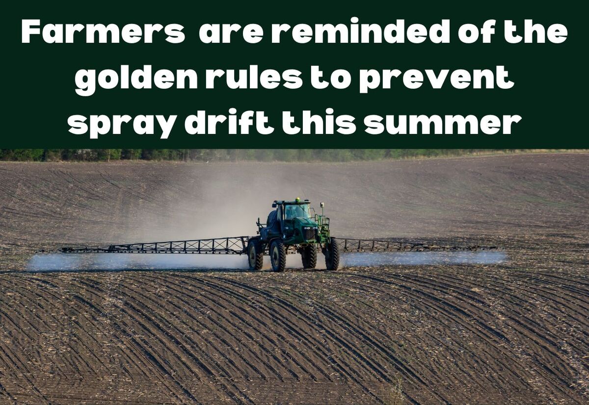 Caution is key for summer spraying
