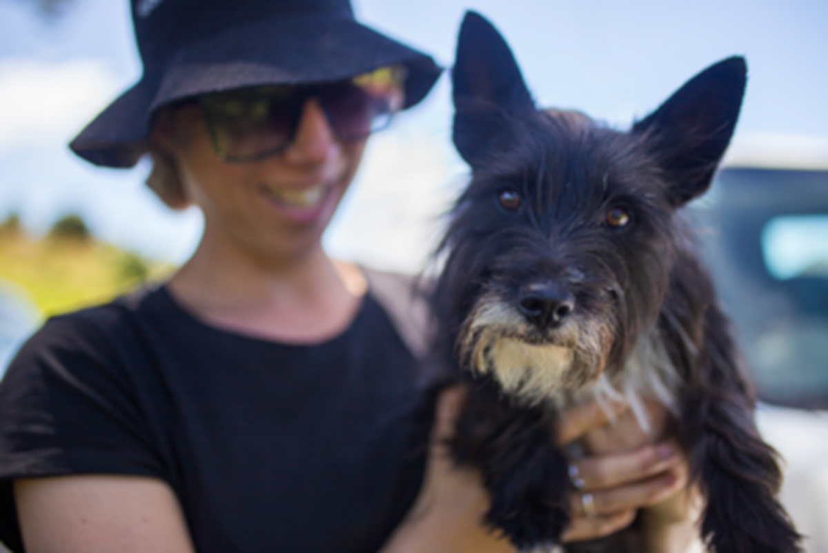 Have Your Say on Auckland’s Dog Rules