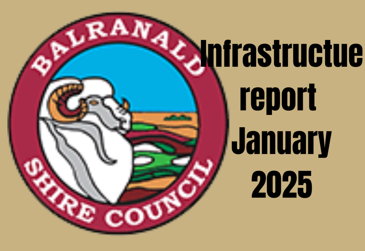 Balranald Infrastructure Report January 2025