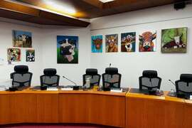 Council debate over Kiama Show fee raises concerns about time use 