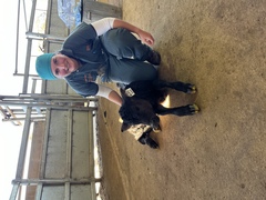 Farmers welcome plans to attract more rural vets