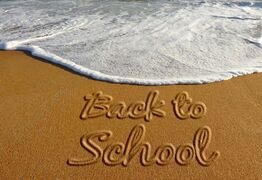 Back to School on the Hibiscus Coast