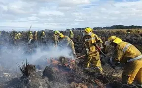Awarua fire: Home detention, community work and fines for offenders