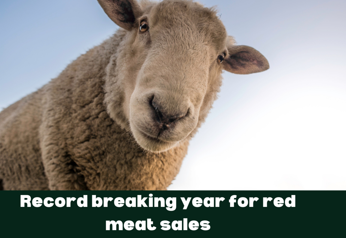 Record breaking year for red meat sales in Australia