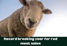 Record breaking year for red meat sales in Australia