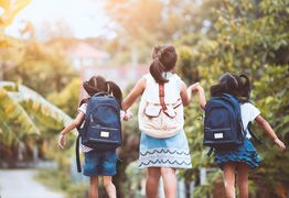 Report Highlights School Attendance Challenges, Solutions