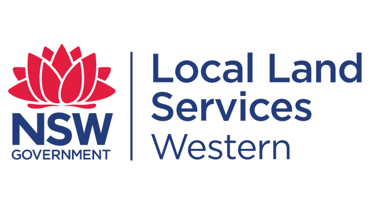 February feral pig workshops