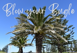 The Collective and future plans for the site