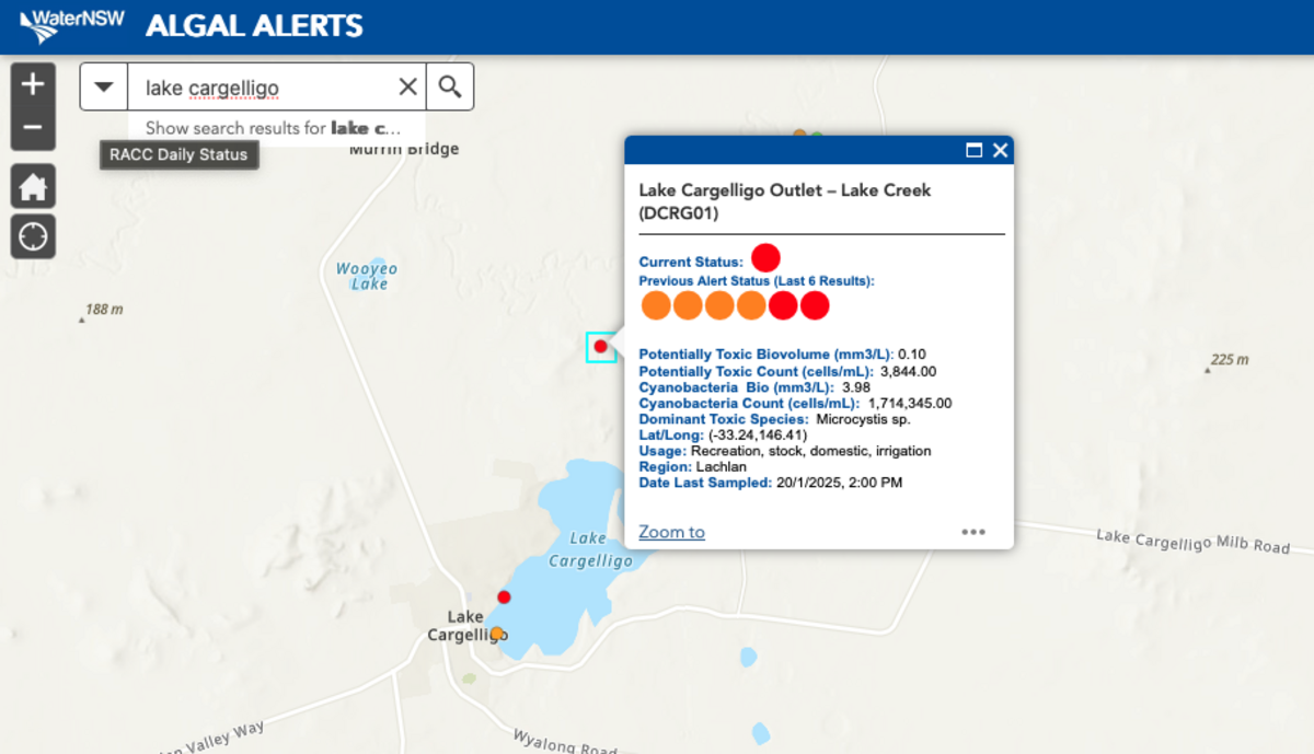 Blue-green algae red alert for Lake Cargelligo