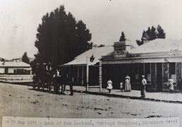Ophir cottage hospital ghosts inspire local painter