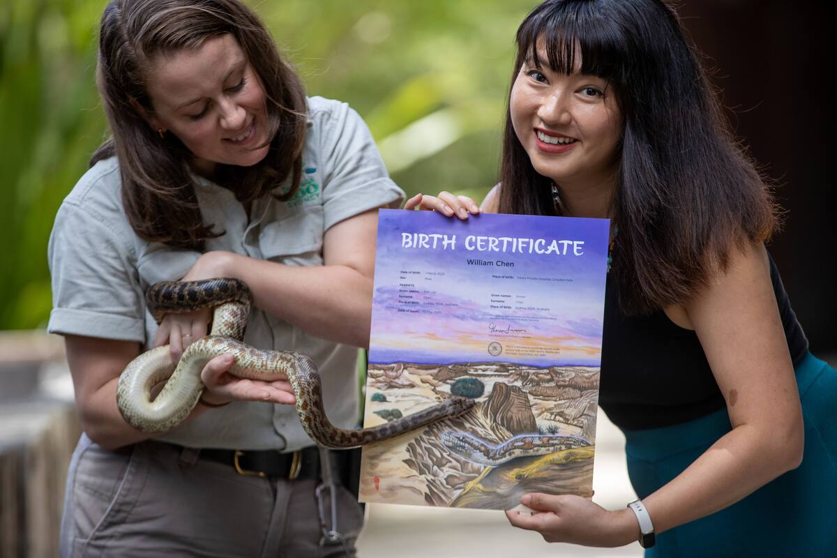 Slithering into Chinese New Year
