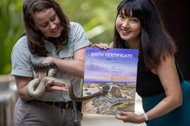 Slithering into Chinese New Year