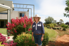 An oasis in Darnick