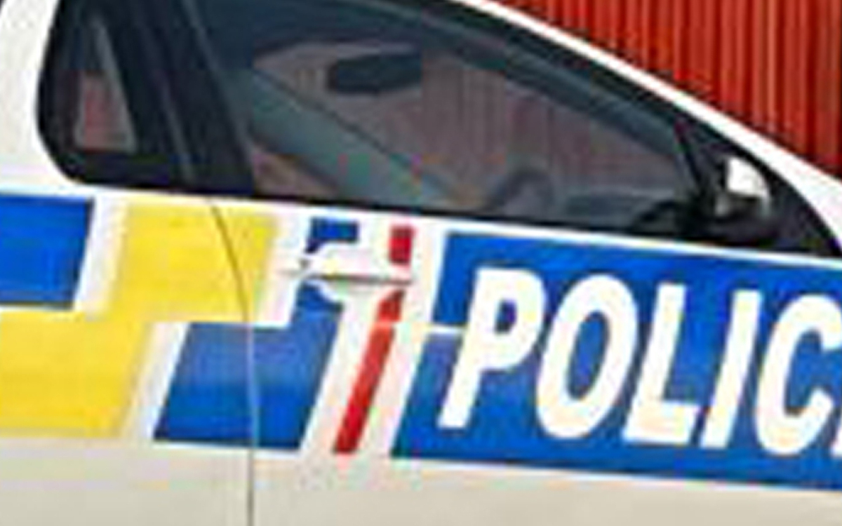 Police Patrol: vandals, rescues, fires and more