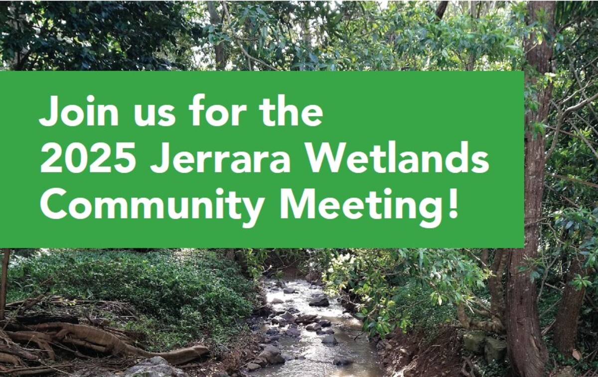 Love is in the Air… and in the Wetlands!