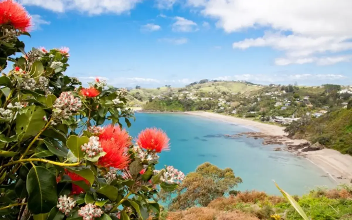 Waiheke housing: New rules for digital nomads could push us out - residents