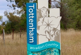 Water restrictions raised to high in Tottenham and Albert