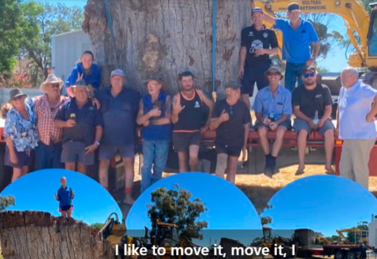 Carrathool community moved the Big Stump