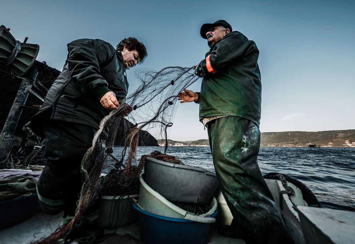 Consultation Opens on Fisheries Reforms
