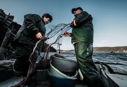 Consultation Opens on Fisheries Reforms