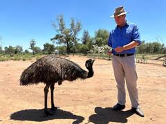 Fire trail upgrades for NSW opal fields