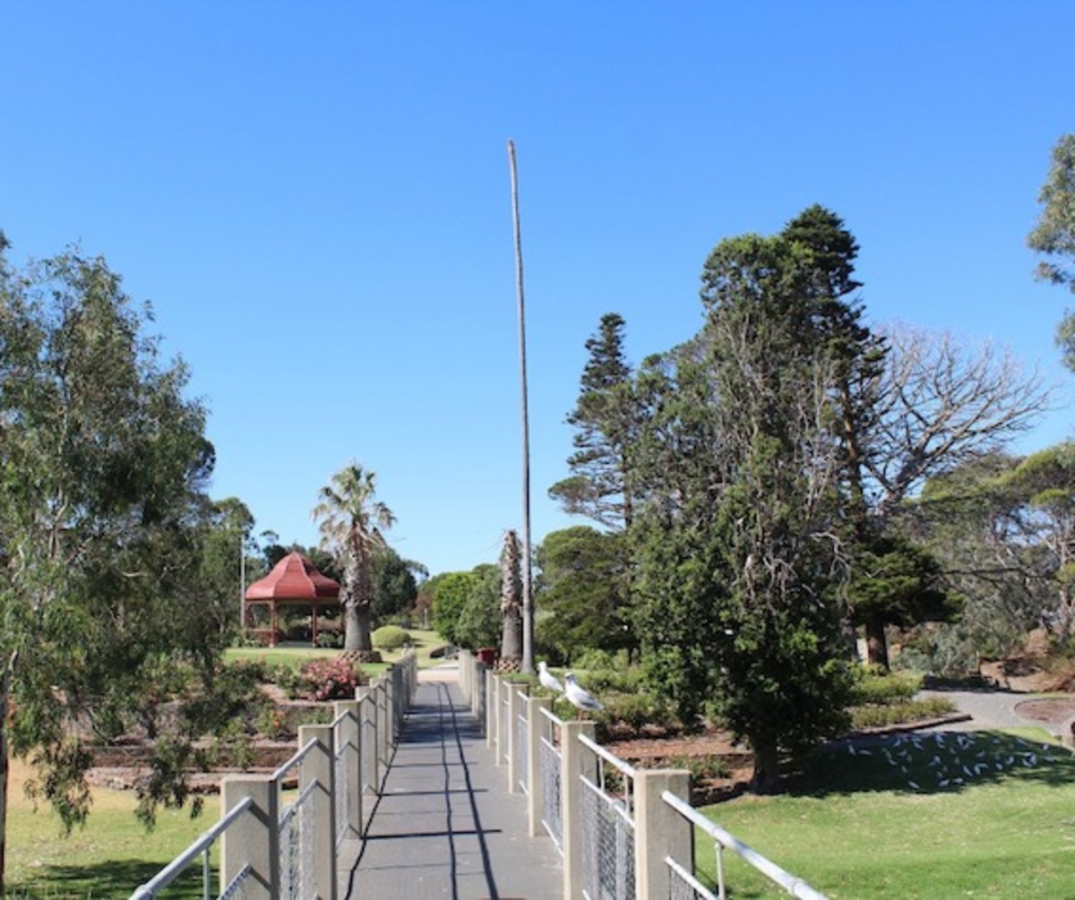 Soldiers Memorial Gardens trees to go