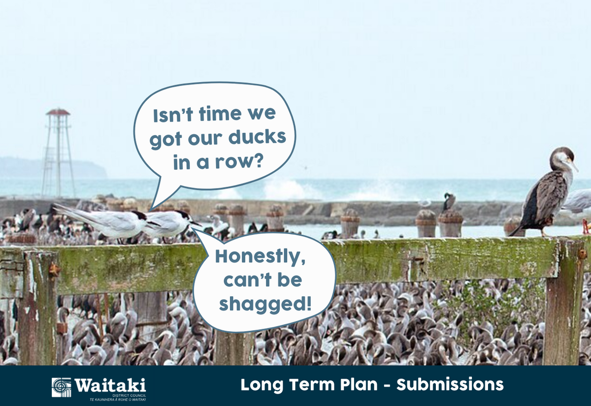 How to Long Term Plan (LTP) Submit - An LTP Submission Explainer