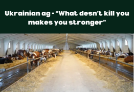Law of Ukrainian agricultural exports: What doesn’t kill you makes you stronger