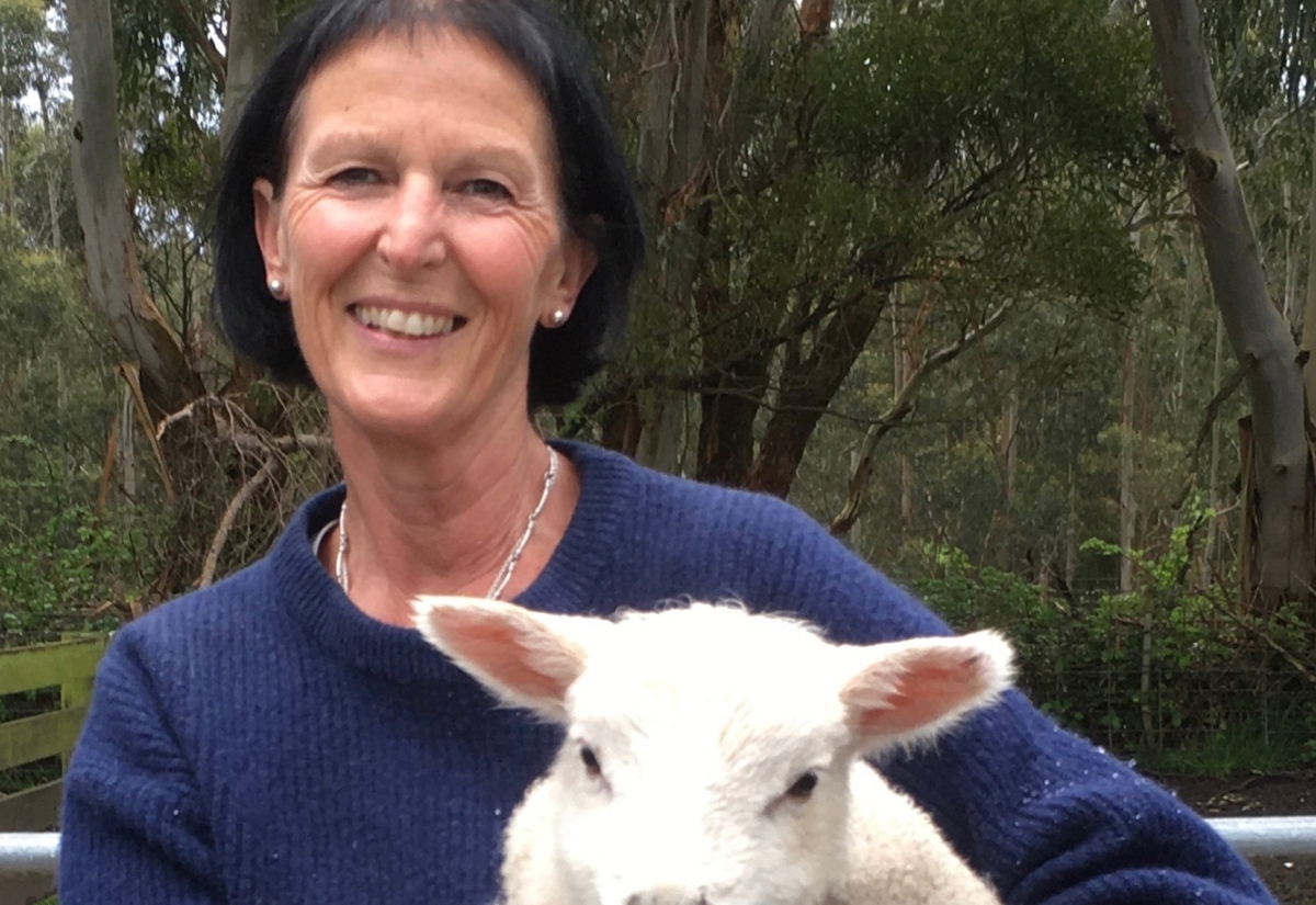 NSW appoints first agriculture commissioner