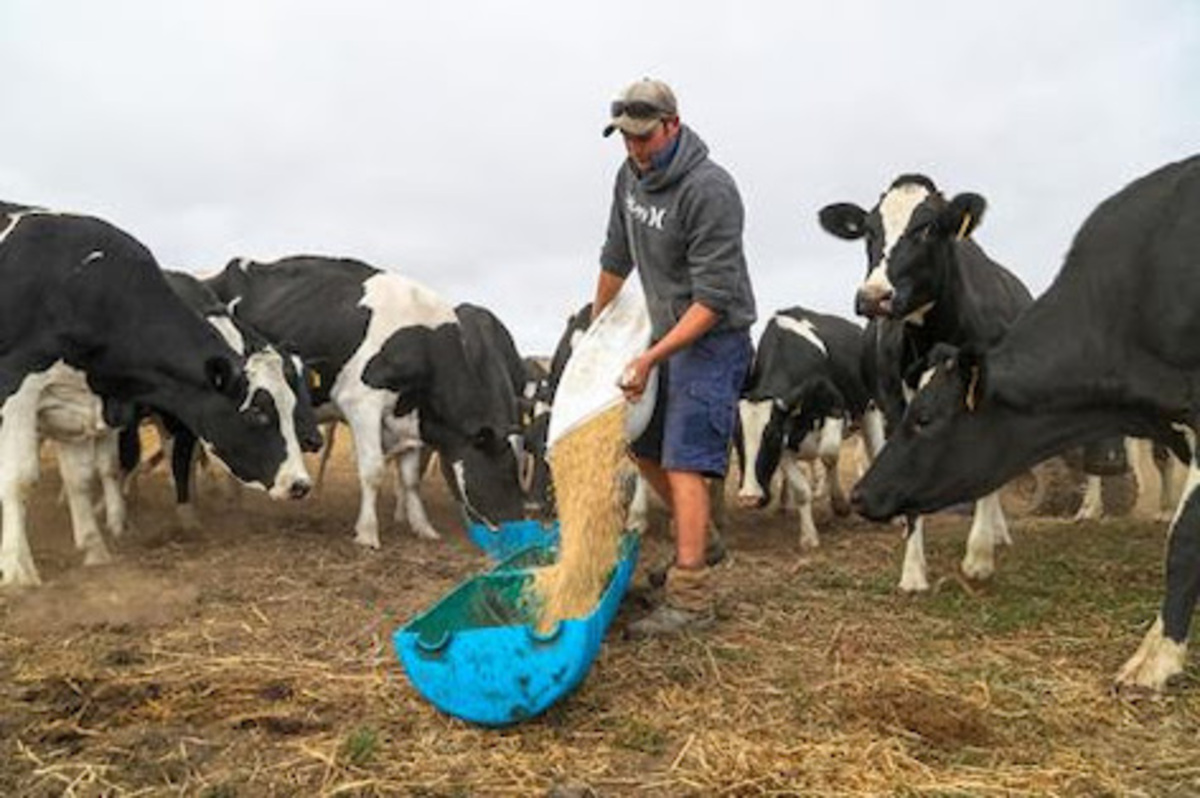 Farmers’ catch-up on the south coast
