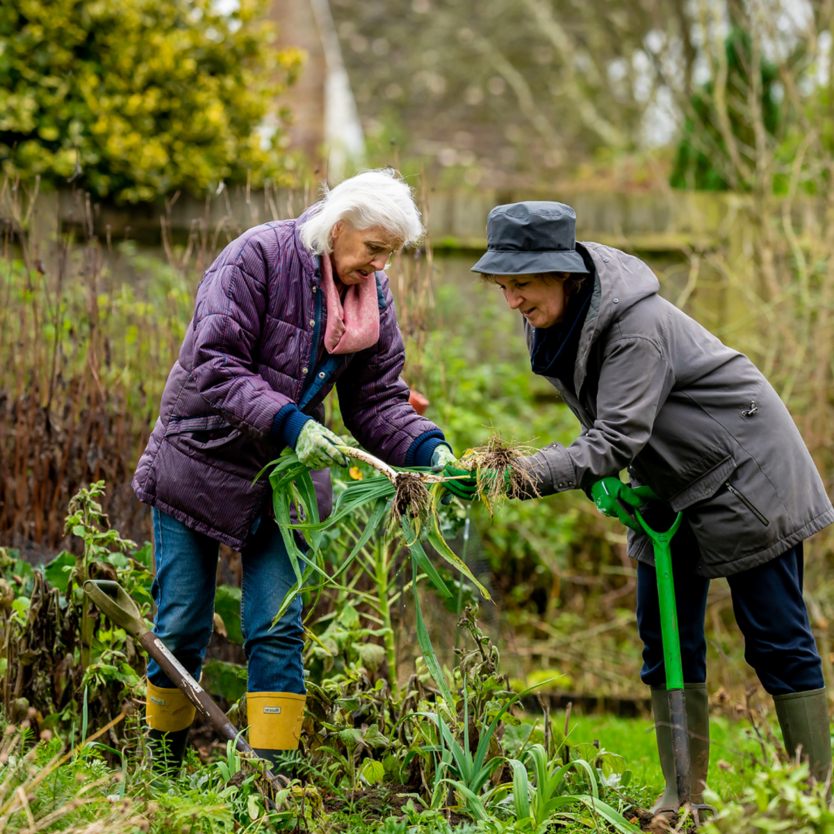 Summer Loving: Gardening to Beat the Heat