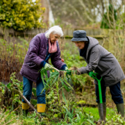 Summer Loving: Gardening to Beat the Heat