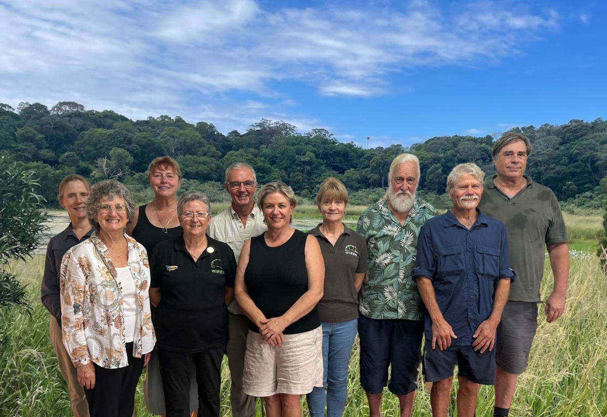 Love in the Air… and in the Rainforest