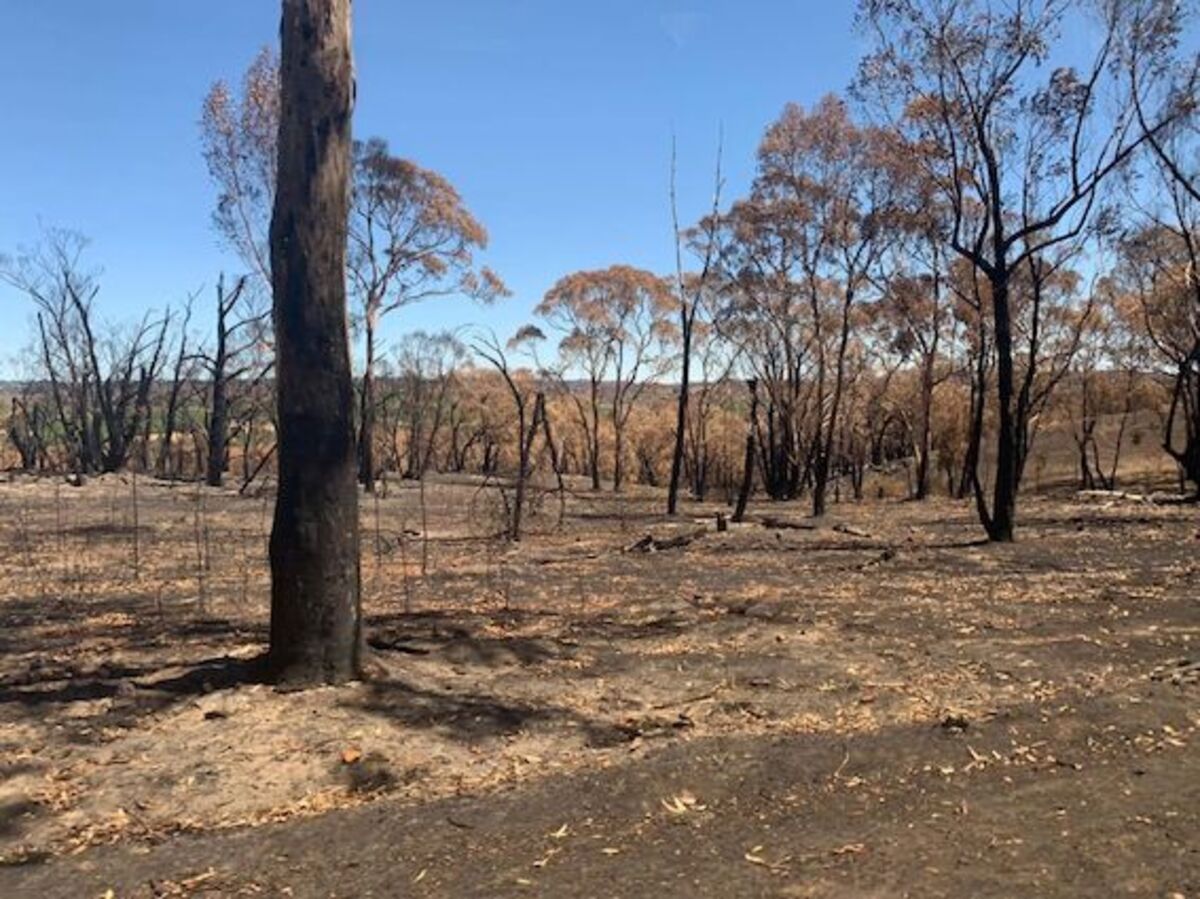 More investment needed in climate resilience