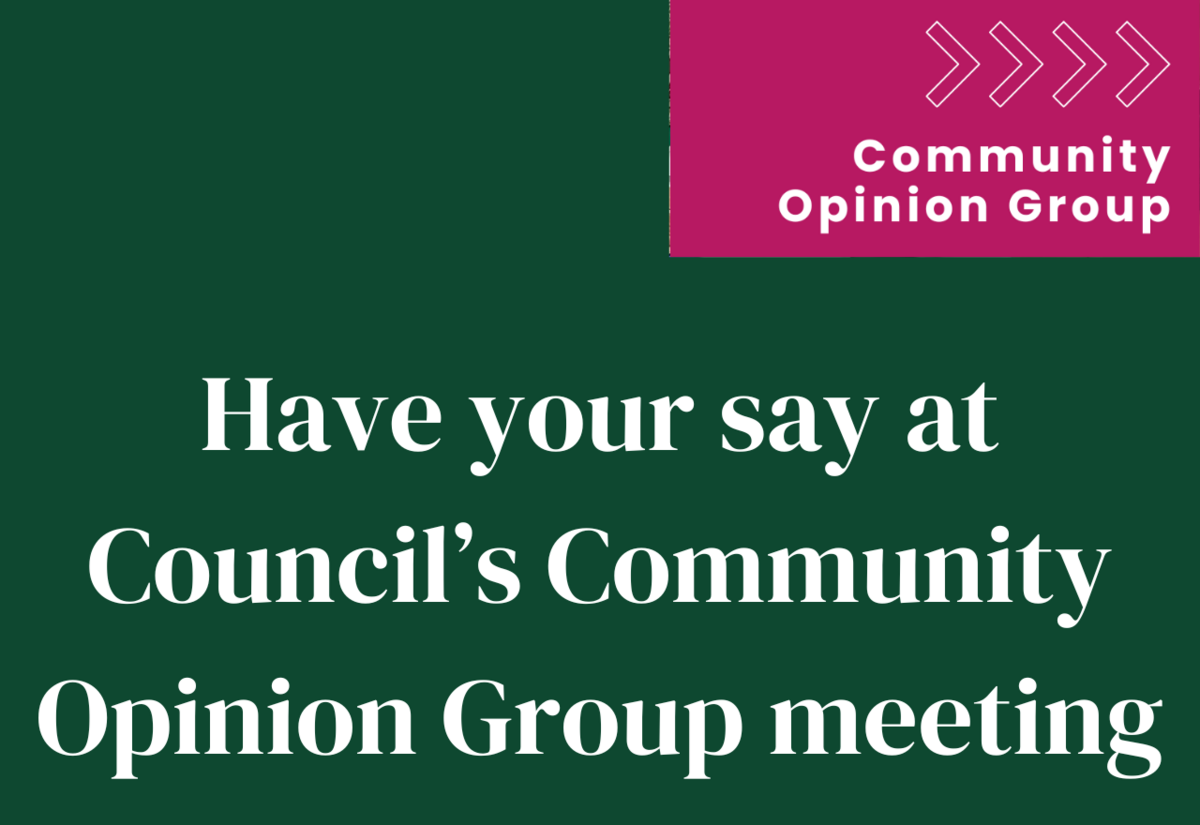 Have your say at Council’s Community Opinion Group meeting