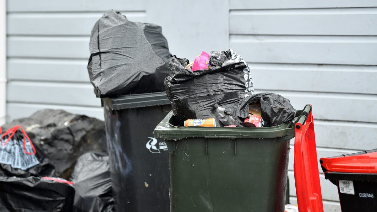 Recycling rule breakers could lose bins