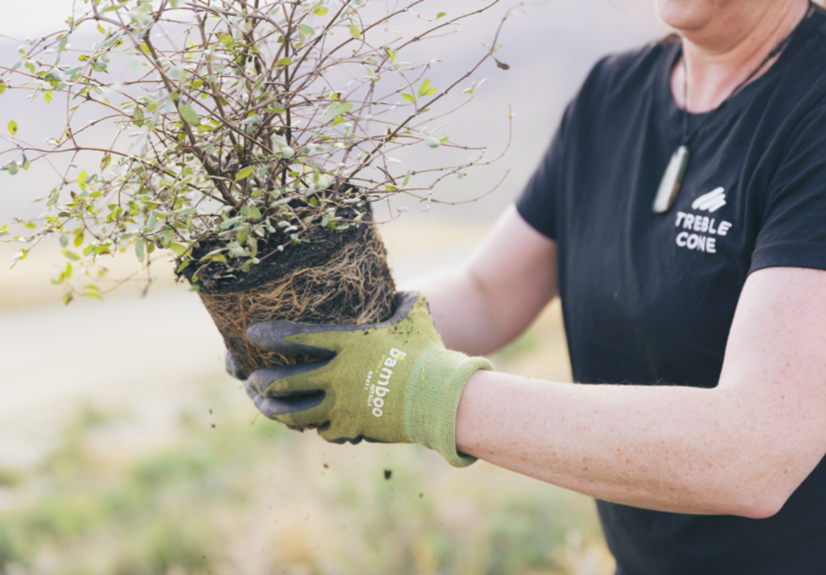 From ‘show to snow’ for organic waste