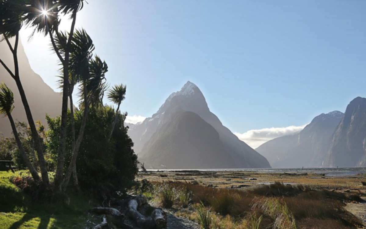 Fiordland Fishing Boat Sparks Unnecessary Search & Rescue