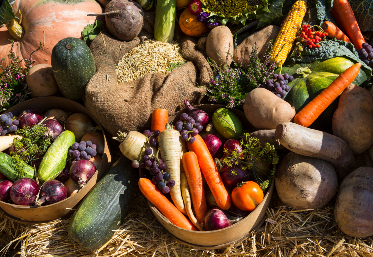 Autumn Harvest Festival returns 