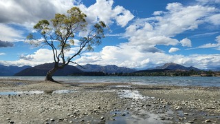 Low lake level within normal range